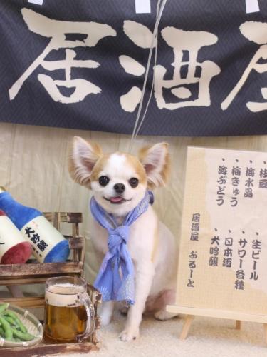 20240629くうくん